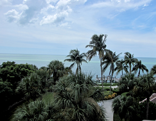 Plantation 307