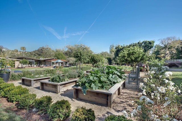 garden 1