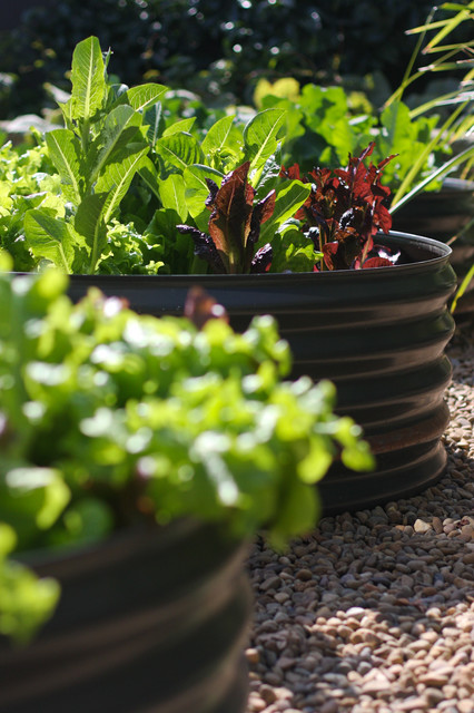 garden 2