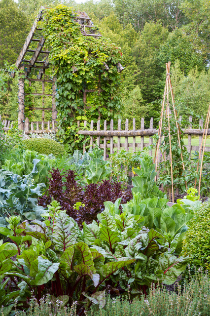 garden 4