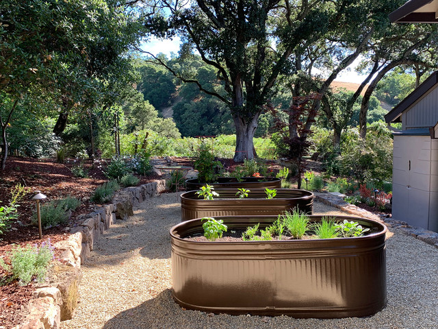 garden 7