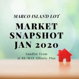 market snapshot 2020